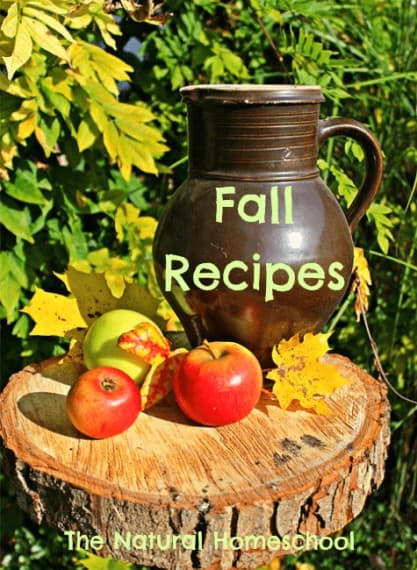 Fall Recipes for Kids - Creative Treats - The Natural Homeschool