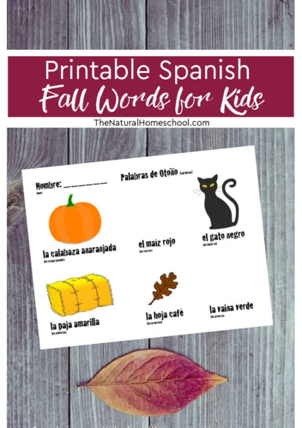 We used all Fall colors and Fall objects for our Spanish Fall words for kids activity.