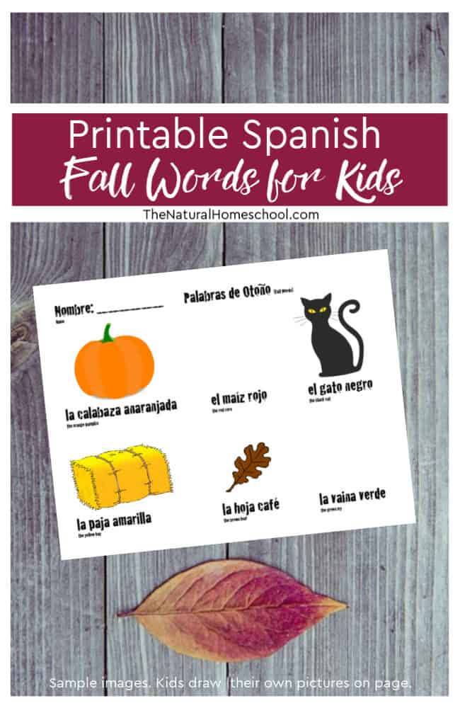 We used all Fall colors and Fall objects for our Spanish Fall words for kids activity.