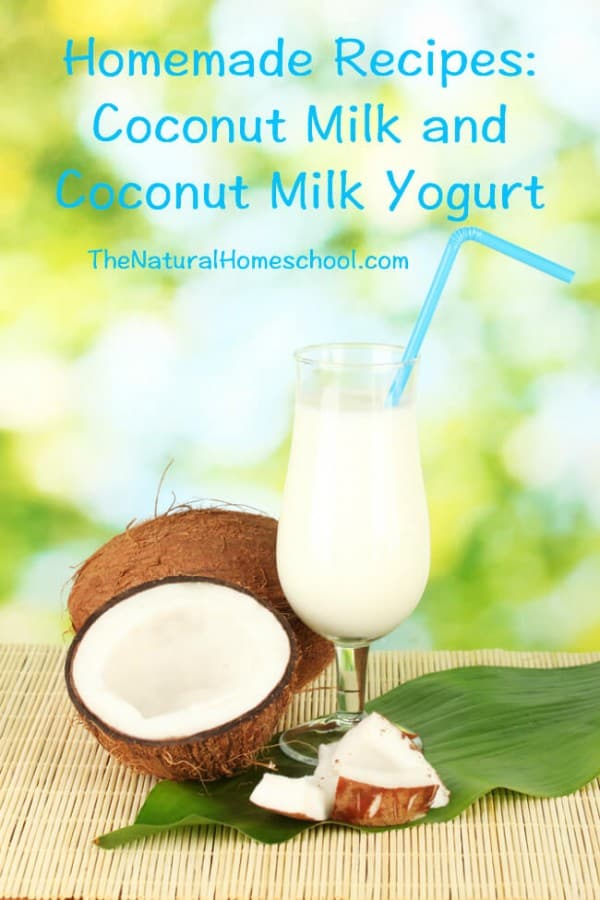 coconut milk recipes copy