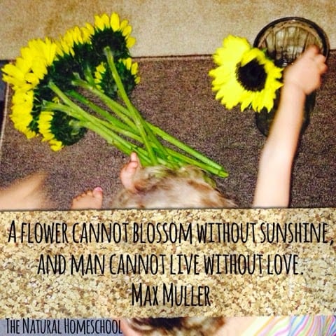 Montessori Practical Life: Flower Arrangement