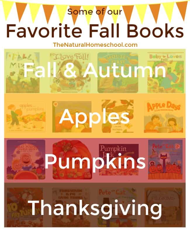 Some of Our Favorite Fall Books