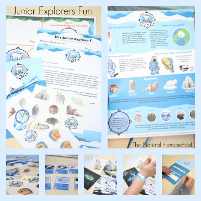 Learn about the Arctic with Junior Explorers