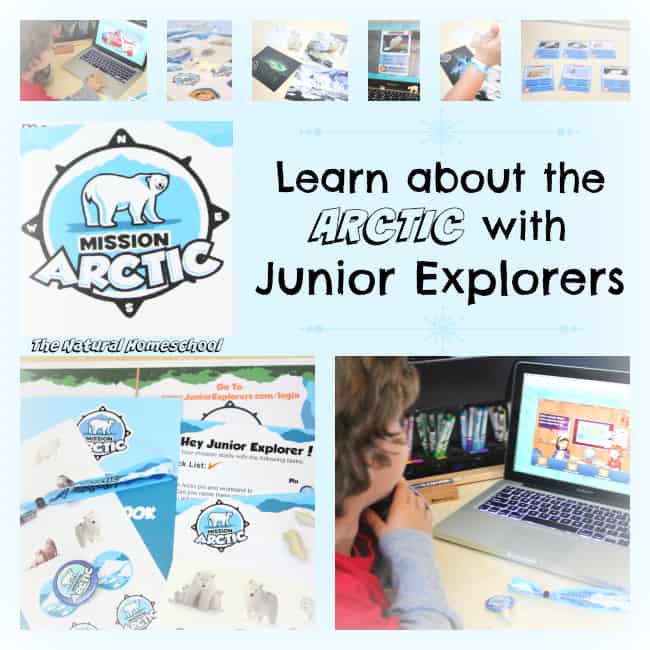 Learn about the Arctic with Junior Explorers