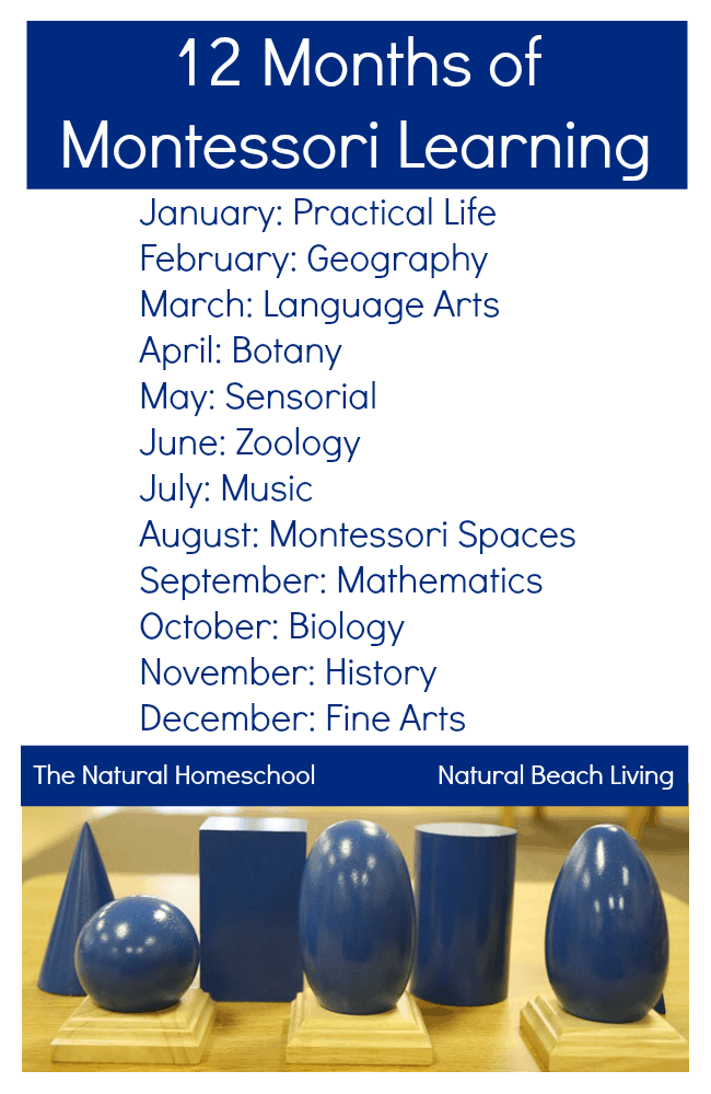 12 Months Montessori Series