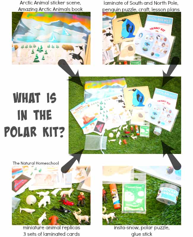 7 Lessons of Polar Fun with Brainy Kit