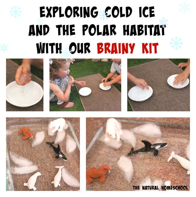 Snow & Ice - Kids Arts & Crafts Activities