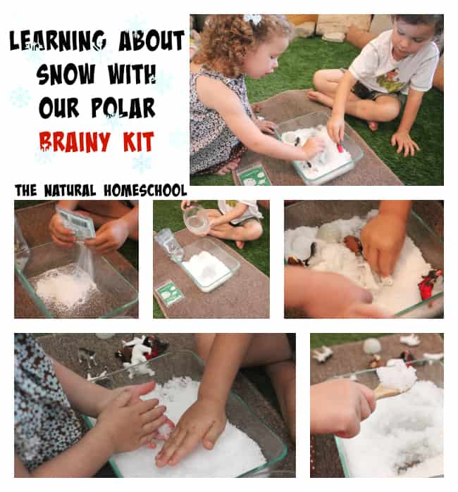 7 Lessons of Polar Fun with Brainy Kit