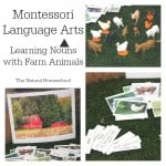 Montessori Language Arts: Learning about Nouns & FREE Printables