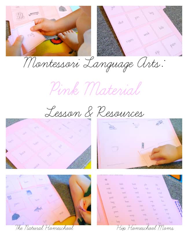 Montessori Language Arts: Pink Material (Lessons & Free Resources)