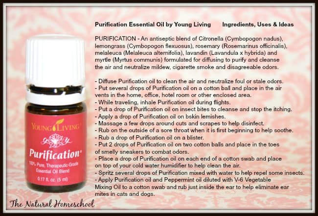 Are you interested in learning about an essential oil blend called Purification? Download your free Purification Information card!