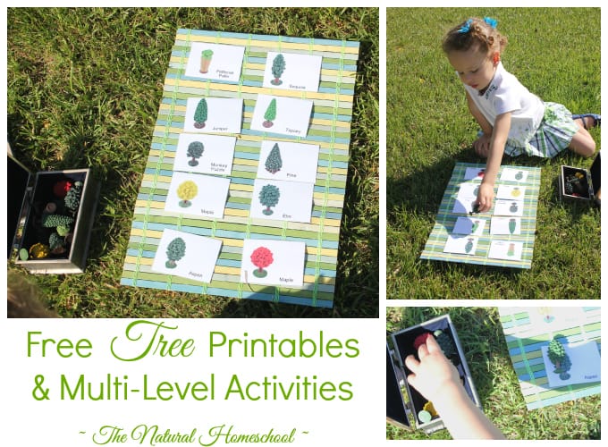 "For the Love of Trees" Lessons, Books, Printables & Hands-on Activities