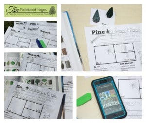"For the Love of Trees" Lessons, Books, FREE Printables &amp; Hands-on ...