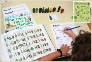 "For the Love of Trees" Lessons, Books, FREE Printables &amp; Hands-on ...