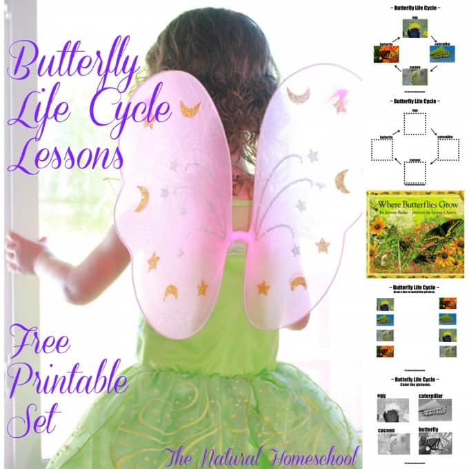 Butterfly Life Cycle Activities & Crafts (Free Printable Set)