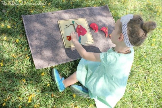 2 Free Printable Montessori Botany Lessons for Kids to Love - The ...