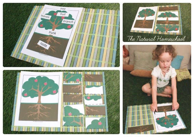Montessori-Inspired Botany: Parts of a Plant & Parts of a Tree (Free Printables)