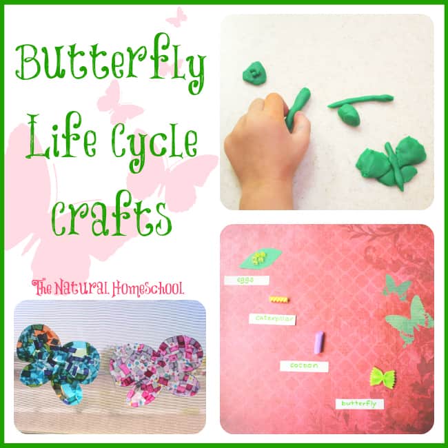 Butterfly Life Cycle for Kids (Free Printables)