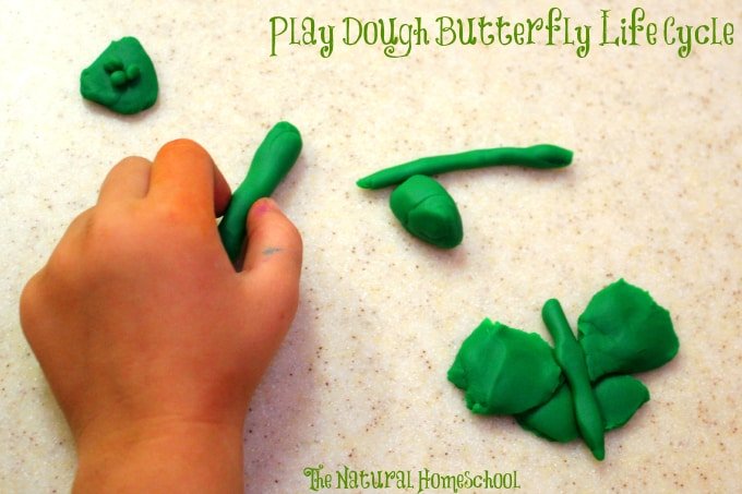 3 Butterfly Life Cycle Crafts & Resources