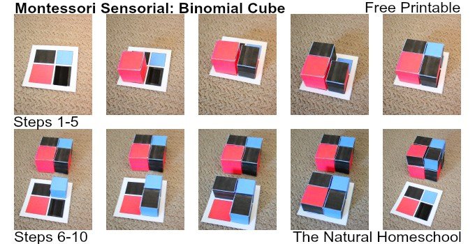 Montessori Sensorial: Binomial Cube (Free Printable!)