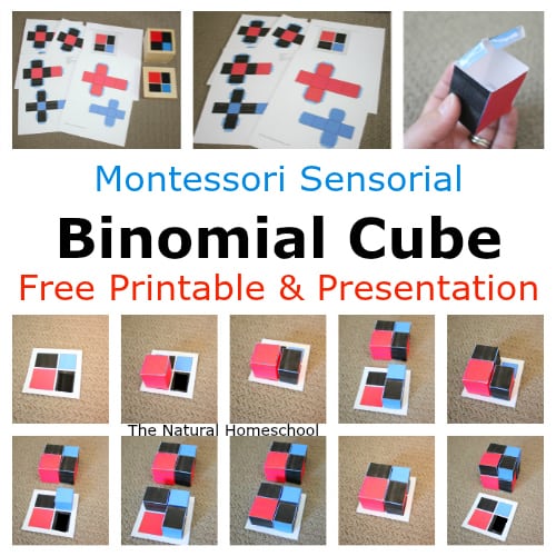 Montessori Sensorial: Binomial Cube (Free Printable!)