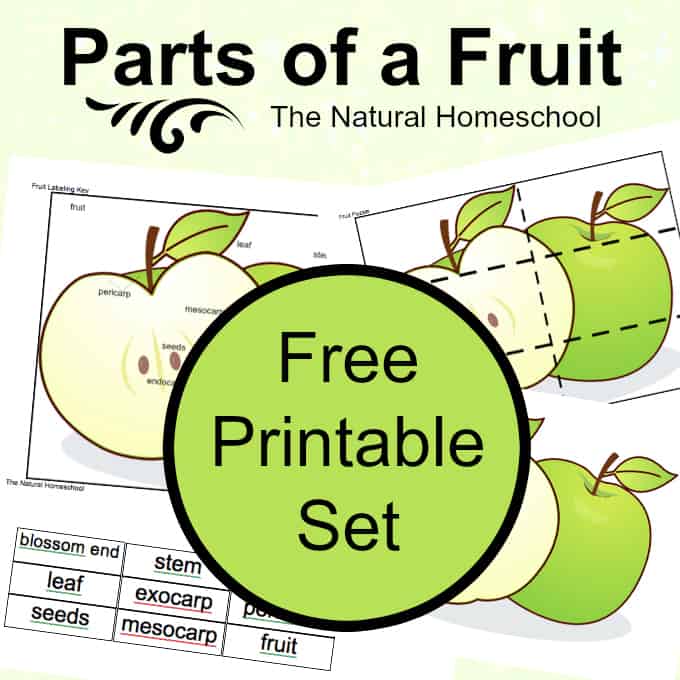 Fruit Printable
