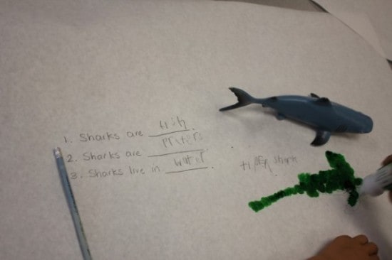 Getting Smart about Sharks (Free Printables)