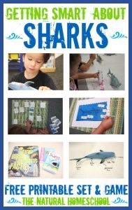 Getting Smart about Sharks (Free Printables) - The Natural Homeschool