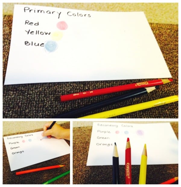 Montessori-Inspired Color Wheel Activities