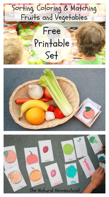 Naming, Sorting, Coloring & Matching Fruits & Vegetables {Free Printable}