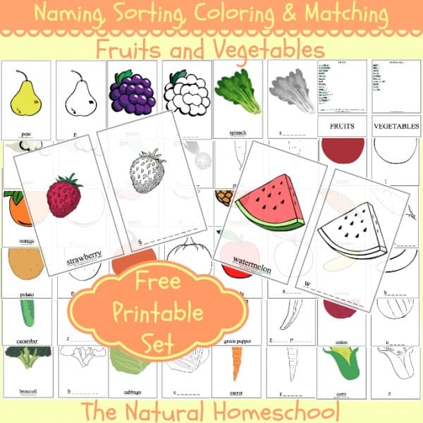 free printable set of learning with fruits and vegetables