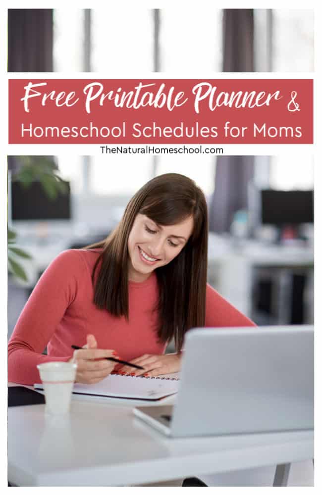 In this post, not only will you get a free homeschool printable planner for homeschool moms, but you will also get a pretty awesome list of homeschool schedule ideas and more!