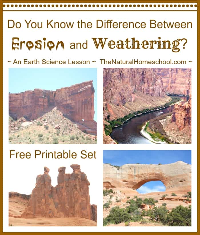 We found some amazing books about our topic. In this post, we share a great list of some Erosion, Weathering, and Deposition Books for Kids!