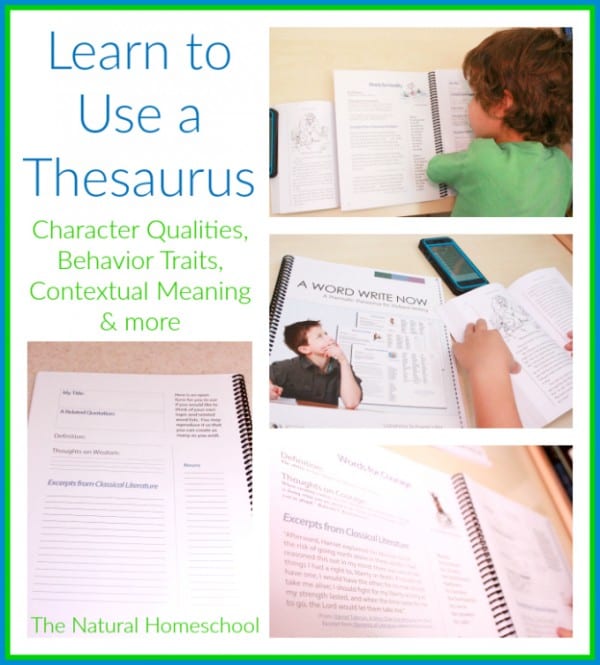 Teach Ancient History (and so much more) with Games, Timeline and Thesaurus