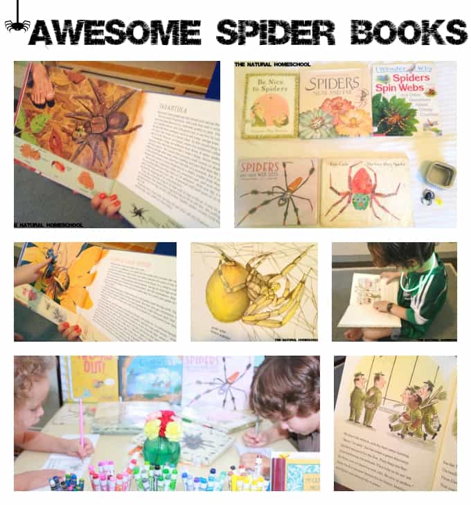 Free Printable Books for Kids about Spiders