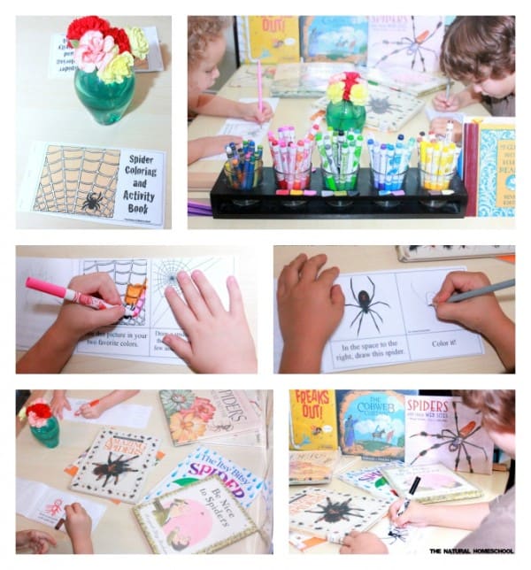 Free Printable Books for Kids about Spiders