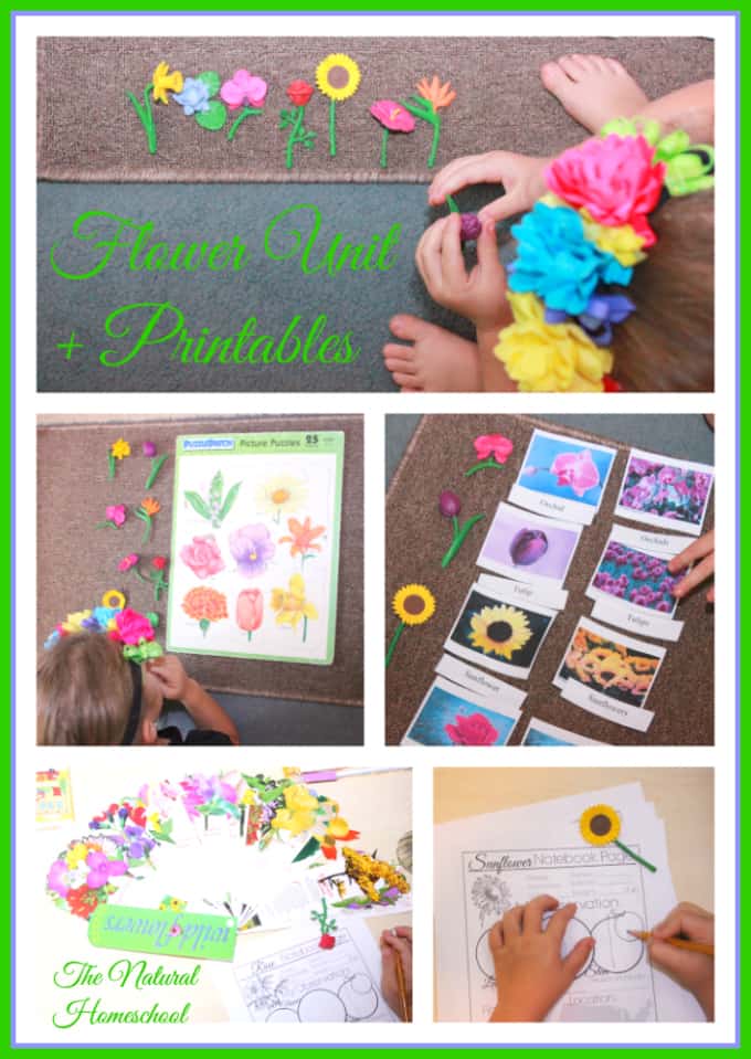 Well, here is a fantastic flower matching game printable for you to play with your kids right away!