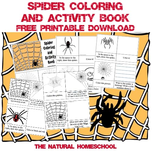 Free Printable Books for Kids about Spiders