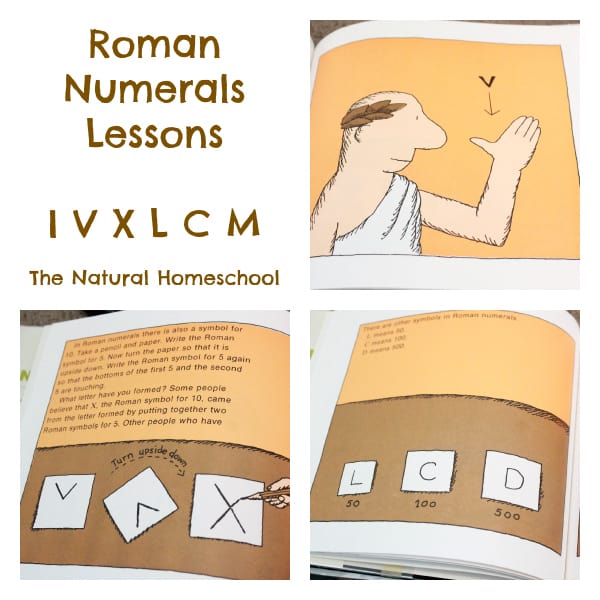 Roman Numeral Lessons (Numbers in Latin, Ancient Roman Culture & Free Printables)