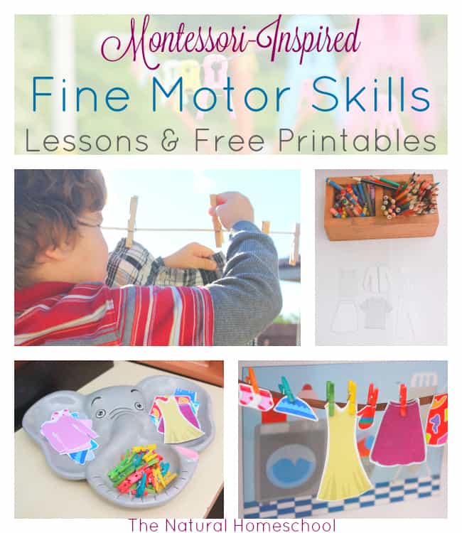 Montessori-Inspired Fine Motor Skills for Preschoolers (Lessons & Free Printables)