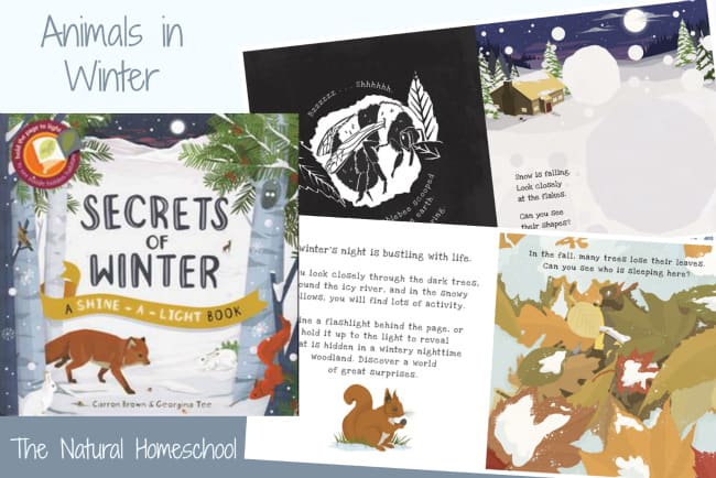 Be sure to check out our Animals in Winter – Awesome Printable Bundle because it is a complete unit, full of information about Animals in Winter: Migration, Hibernation & Adaptation. This post is an introduction, but the unit goes in depth with lots of activities, printables and ideas!