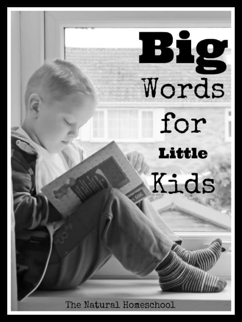 Big Words for Little Kids