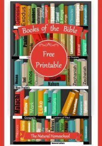 Books of the Bible Printable Worksheets &amp; more!