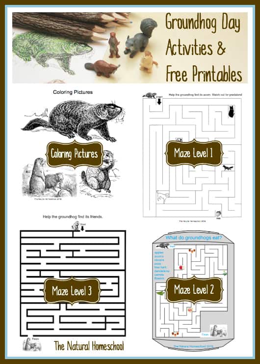 Groundhog Day Activities & Free Printables