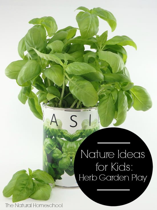 Nature Ideas for Kids: Herb Garden Play
