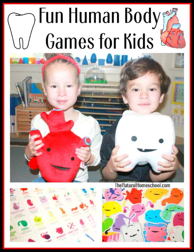 Human Body Games for Kids