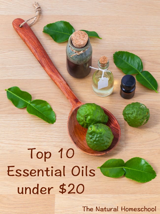 Top 10 Essential Oils Under $20