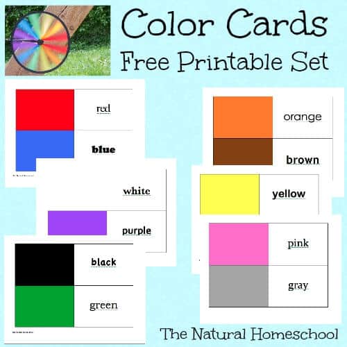 Insect books for Preschoolers that teach about maps, colors and sight words (Printables)