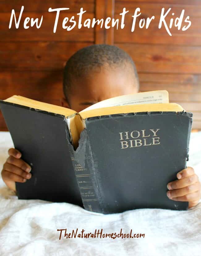 New Testament for Kids