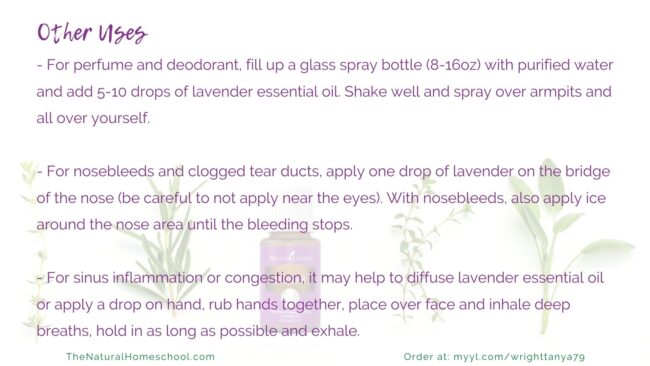 LAVENDER is the most popular of all essential oils, not only for its fragrance, but for its plethora of uses and benefits.